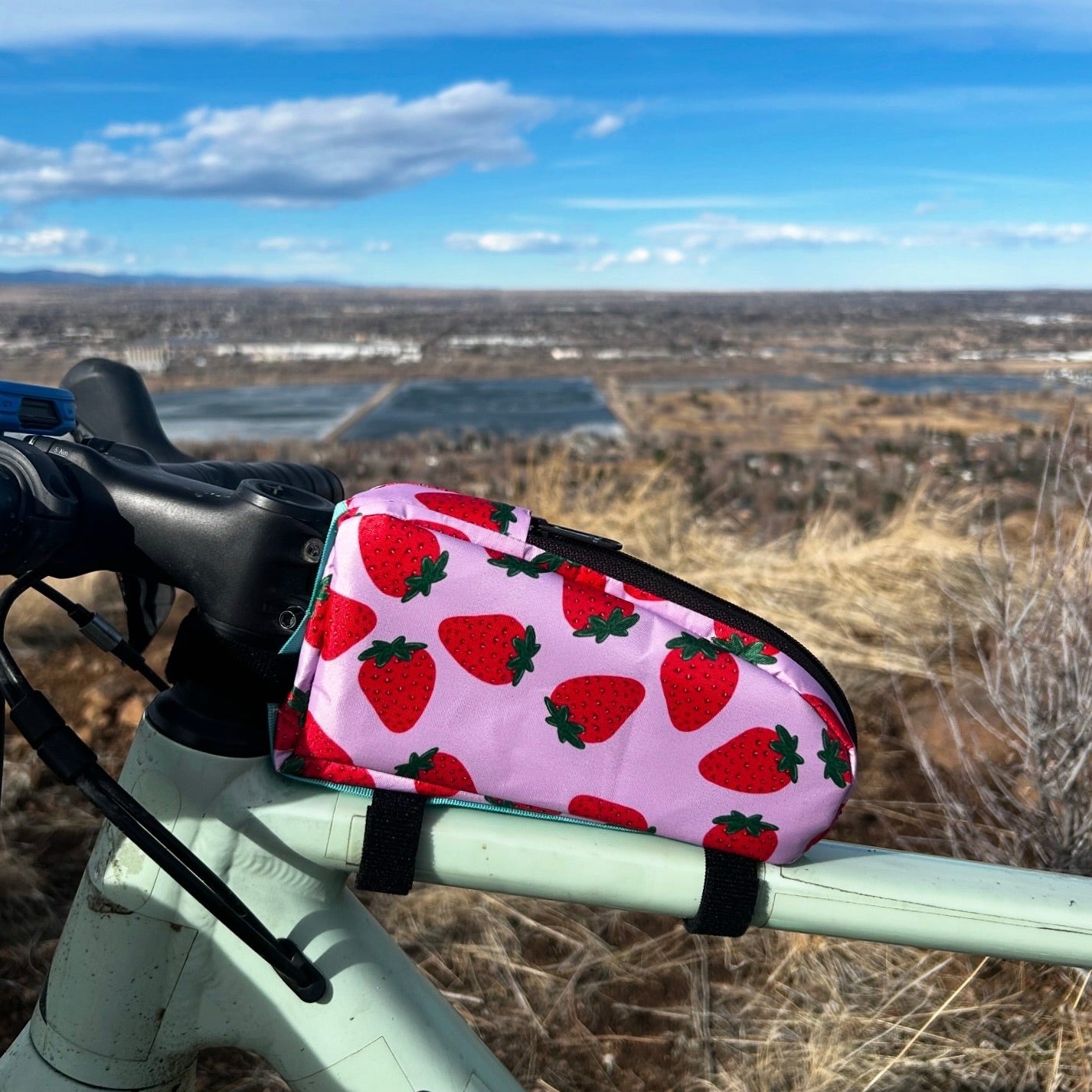 Top Tube Bag - Strawberry Print (Custom Order)