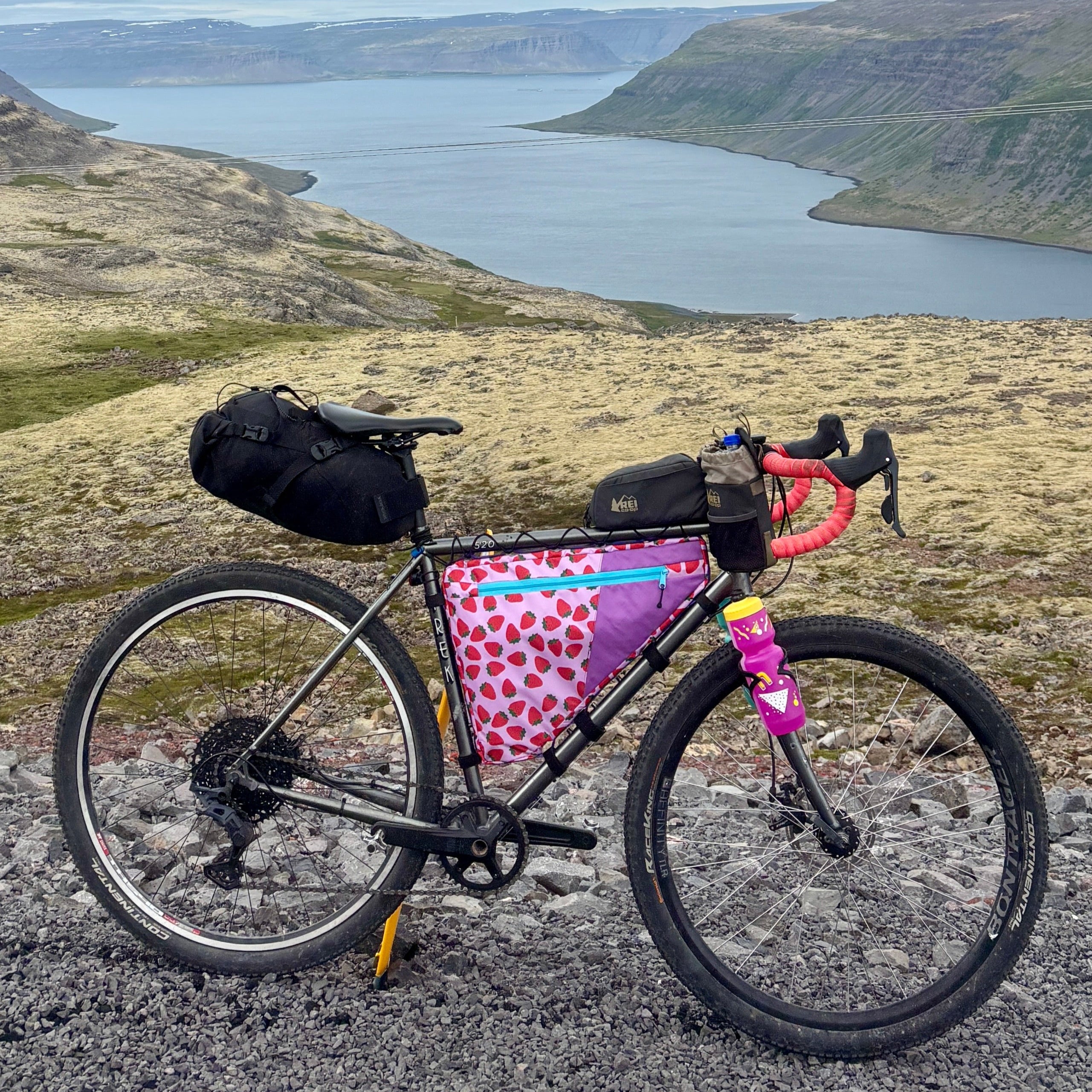 Full Frame Bag - Custom Order